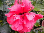 DSCN1498.JPG