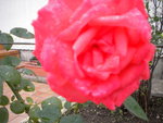 DSCN1500.JPG