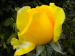 DSCN1501.JPG