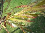 2010-09-19 15.10.48.jpg