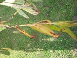 2010-09-19 15.11.01.jpg