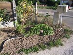 016 jardin.jpg