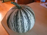 PICT0001.JPG