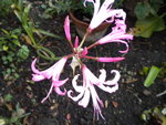 DSCN1483.JPG
