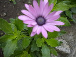 DSCN1494.JPG