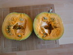 PICT0007.JPG