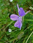 DSC02025  1.jpg