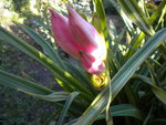DSCN1519.JPG