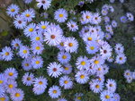 DSCN1520.JPG