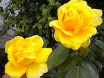 DSCN1507.JPG