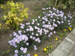 DSCN1503.JPG