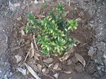 Photos-0007.jpg
