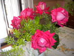 DSCN1537.JPG