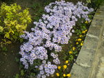 DSCN1530.JPG