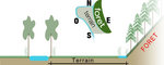 schema1.jpg