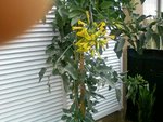 SP_A0344.jpg
