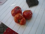 tomates russes.jpg