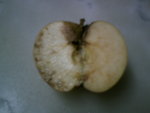 fruits 001.jpg