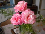 DSCN1545.JPG