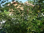 P1050915.JPG