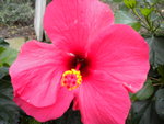 DSCN1497.JPG