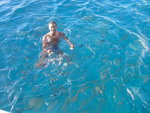 Dans l'Océan au milieu des poissons Janvier 2006.Aux abords de l'îlet Malendure Bouillante Guadeloupe.