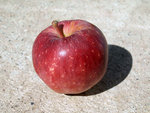 PA072650.JPG