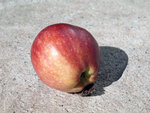 PA072651.JPG