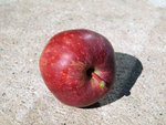 PA072652.JPG
