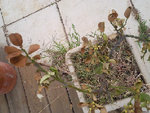 Photo0317.jpg