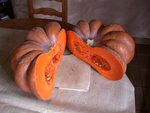 citrouille 15kg 2009 coupée web.jpg