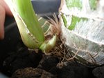 Photo 031.jpg