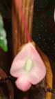 photo_2.jpg