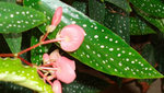 photo_4.jpg
