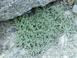DSC04473.JPG