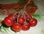 DSC00893AA.jpg