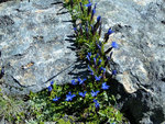 DSC04807.JPG
