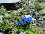 DSC04808.JPG
