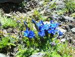 DSC04809.JPG