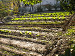 DSCN1568.JPG