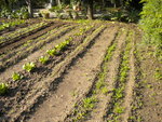 DSCN1569.JPG