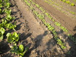 DSCN1570.JPG