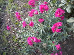DSCN1576.JPG