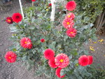 DSCN1575.JPG