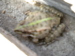 DSCN1567.JPG
