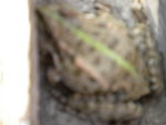 DSCN1566.JPG