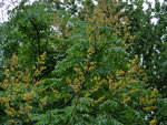 DSC04913.JPG
