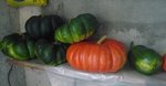 20-10-10 (31) courges muscade.jpg