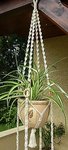DSCN3406.JPG