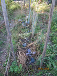 Poireaux2010-1-50.jpg